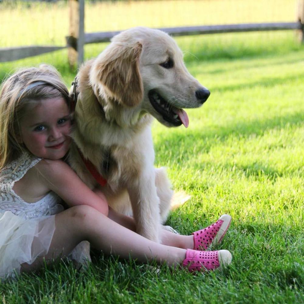 Meet your Posher, Merry